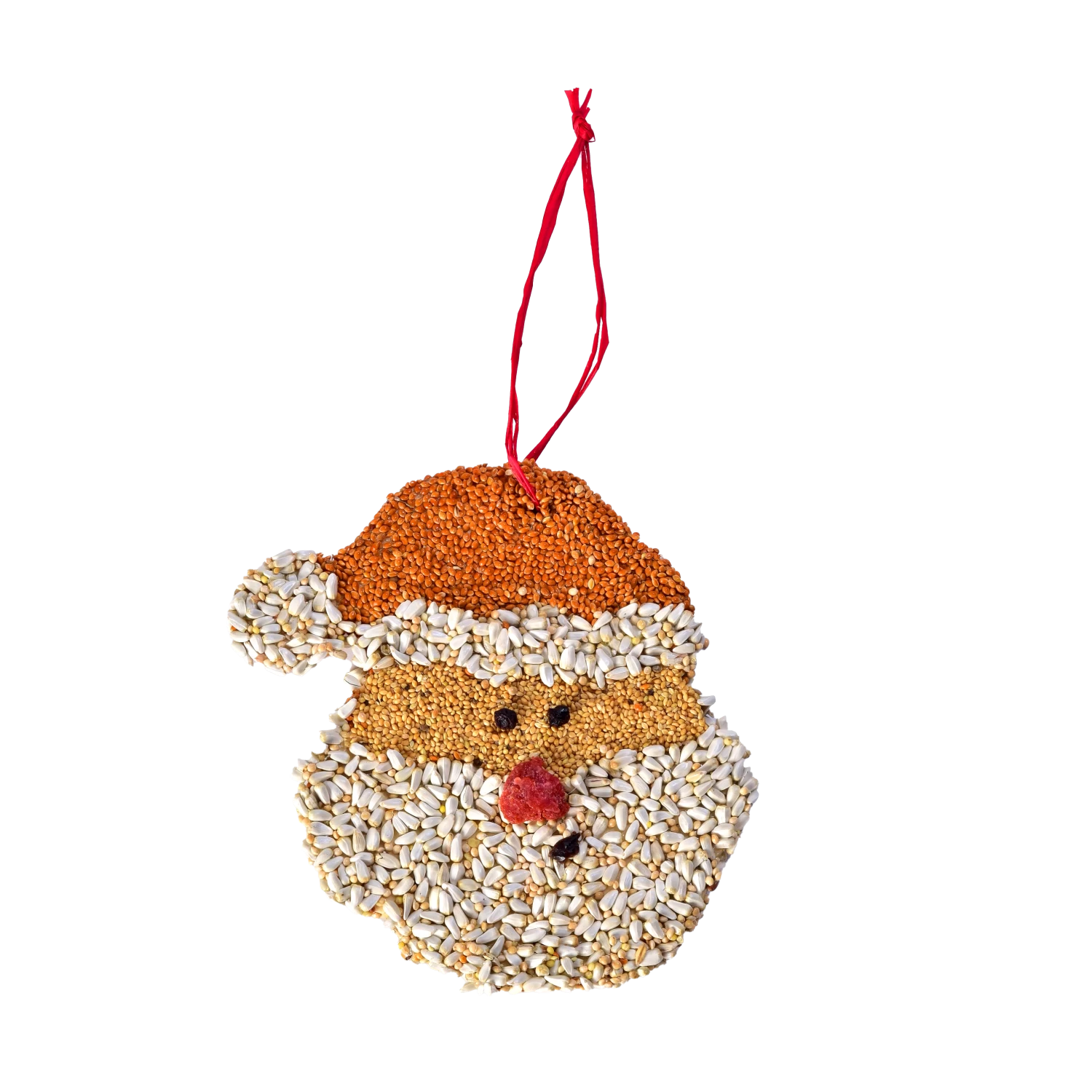 Mr. Bird Santa Cookie Bird Seed Ornament
